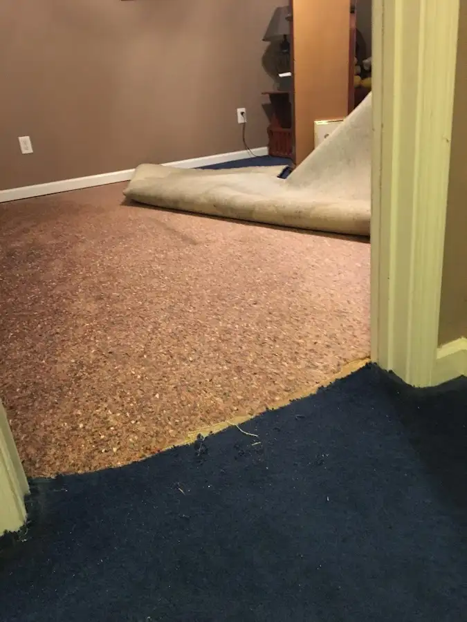 Carpet pad removal revealing water damage during Drying & Dehumidification in Norfolk