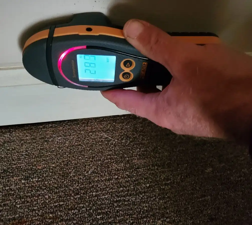 Moisture detection at baseboard during Mold Inspection & Testing in Norfolk